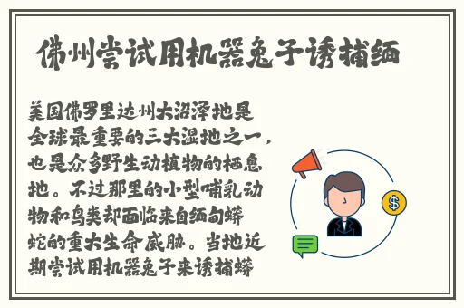 久久久久久九九99精品