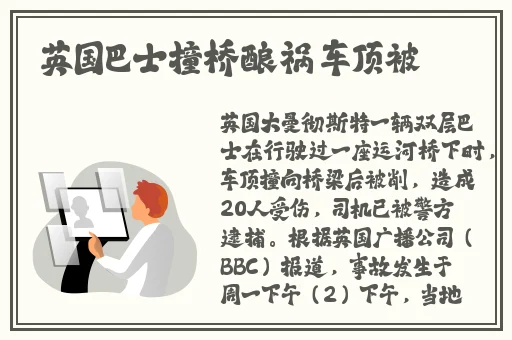 夫妇乐园txt